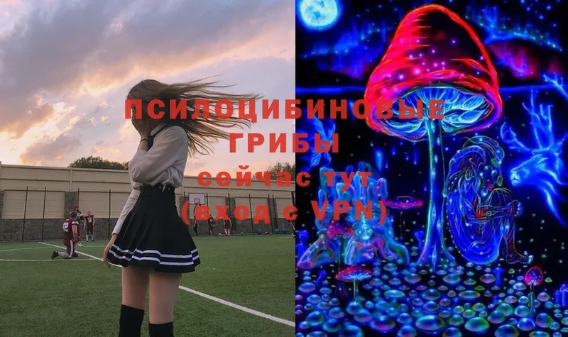 Галлюциногенные грибы Magic Shrooms  Слюдянка 